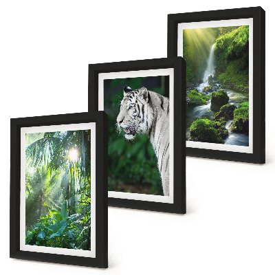 Fotowand Dschungel mit einem weißen Tiger und einem wilden Wasserfall