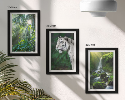 Fotowand Dschungel mit einem weißen Tiger und einem wilden Wasserfall