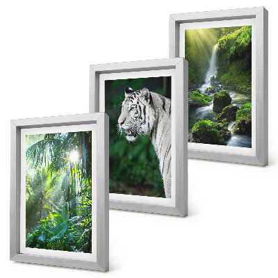 Fotowand Dschungel mit einem weißen Tiger und einem wilden Wasserfall