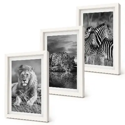 Fotowand mit Wildtieren der Savanne wie Löwe, Jaguar und Zebra