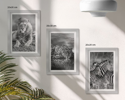 Fotowand Wildtiere der Savanne: Löwe, Jaguar und Zebra