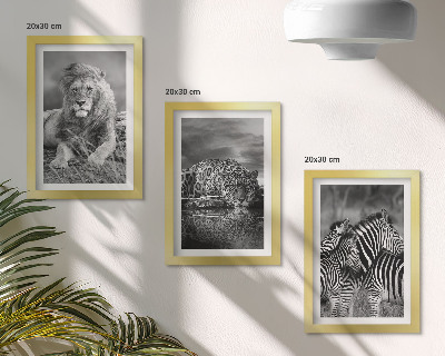 Fotowand Wildtiere der Savanne: Löwe, Jaguar und Zebra