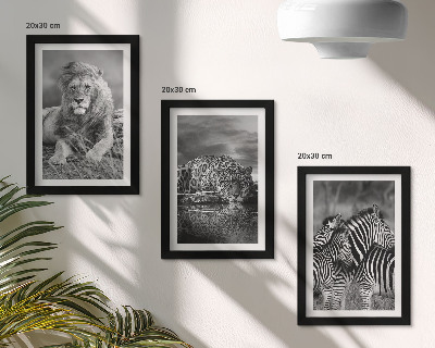 Fotowand Wildtiere der Savanne: Löwe, Jaguar und Zebra