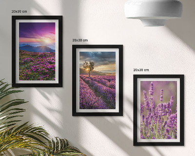 Bilderset mit rahmen Landschaft mit Lavendelfeldern und Sonnenuntergang
