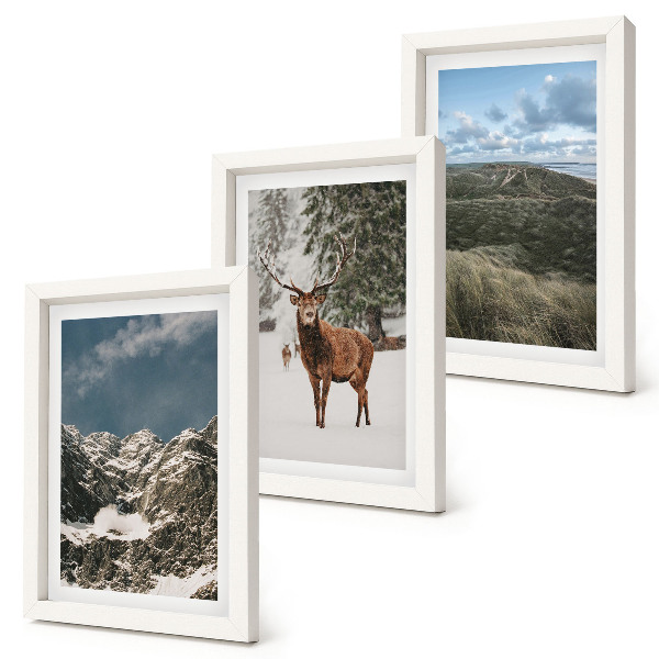Fotowand Berge mit Schnee, Rehe im Wald, Landschaften