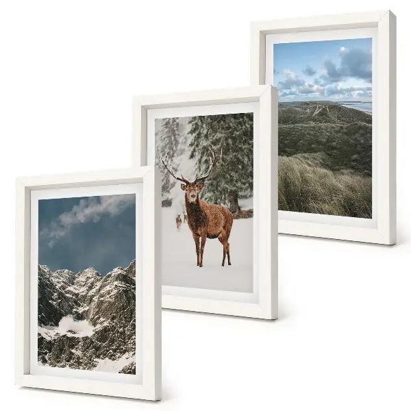 Fotowand mit Bergen, Schnee, Rehen im Wald und Landschaften