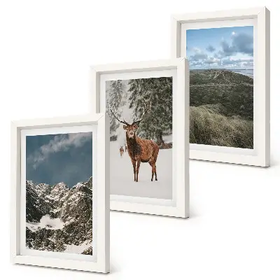 Fotowand mit Bergen, Schnee, Rehen im Wald und Landschaften