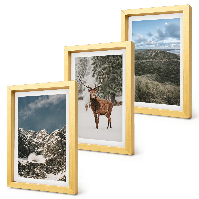 Fotowand Berge mit Schnee, Rehe im Wald, Landschaften