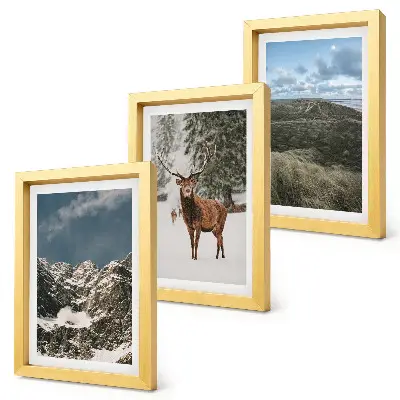 Fotowand mit Bergen, Schnee, Rehen im Wald und Landschaften