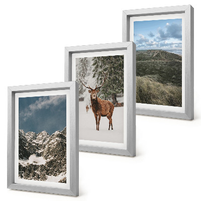 Fotowand Berge mit Schnee, Rehe im Wald, Landschaften