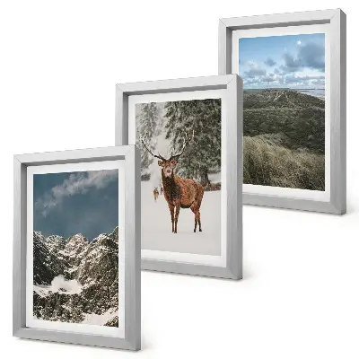 Fotowand mit Bergen, Schnee, Rehen im Wald und Landschaften
