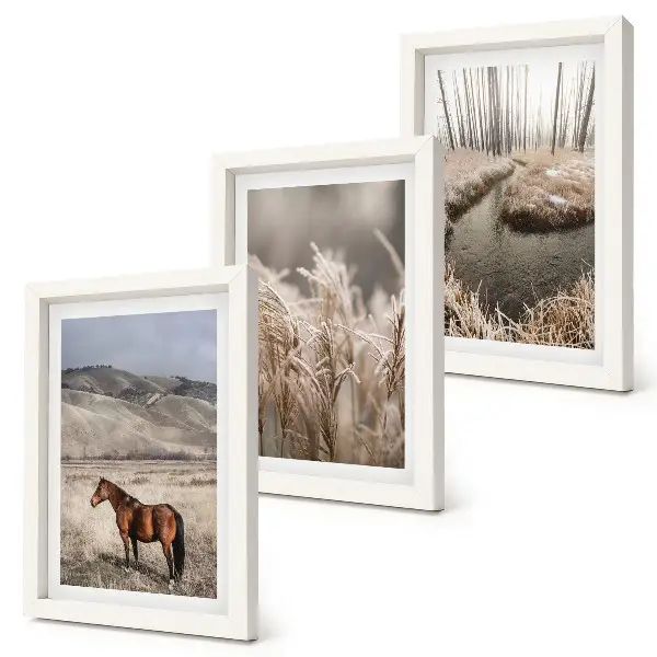 Bilderwand mit dem Motiv Pferde in einer Graslandschaft an einem Winterbach