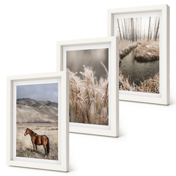 Bilderwand Pferde in einer Graslandschaft an einem Winterbach