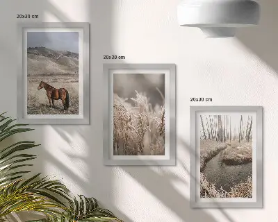 Bilderwand mit dem Motiv Pferde in einer Graslandschaft an einem Winterbach