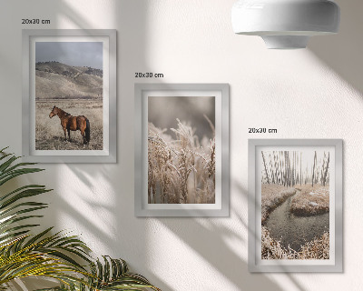 Bilderwand Pferde in einer Graslandschaft an einem Winterbach
