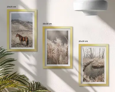 Bilderwand mit dem Motiv Pferde in einer Graslandschaft an einem Winterbach
