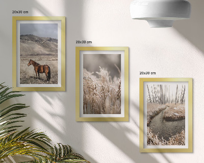 Bilderwand Pferde in einer Graslandschaft an einem Winterbach