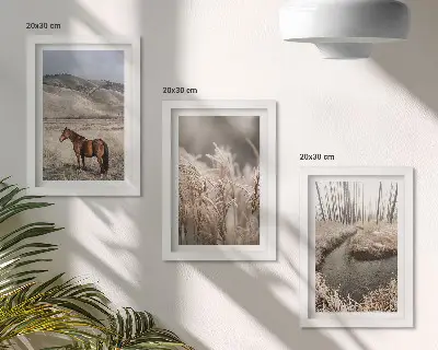 Bilderwand mit dem Motiv Pferde in einer Graslandschaft an einem Winterbach