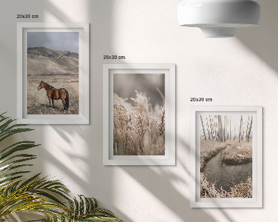 Bilderwand Pferde in einer Graslandschaft an einem Winterbach