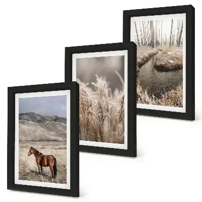 Bilderwand mit dem Motiv Pferde in einer Graslandschaft an einem Winterbach