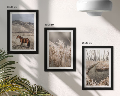 Bilderwand Pferde in einer Graslandschaft an einem Winterbach