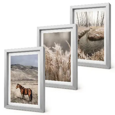 Bilderwand mit dem Motiv Pferde in einer Graslandschaft an einem Winterbach