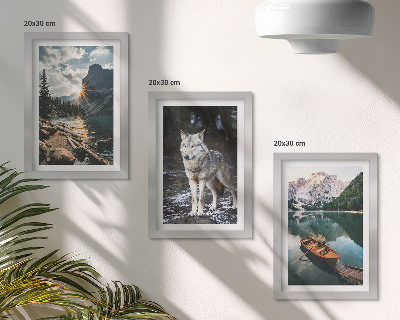 Fotowand Berge, Seen und ein Wolf in natürlicher Umgebung