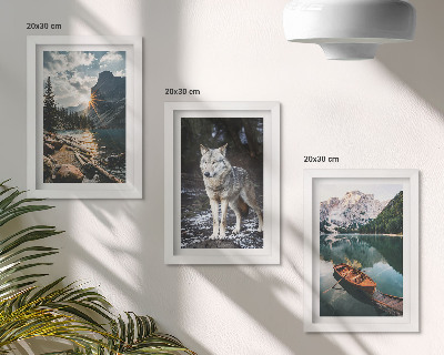Fotowand Berge, Seen und ein Wolf in natürlicher Umgebung