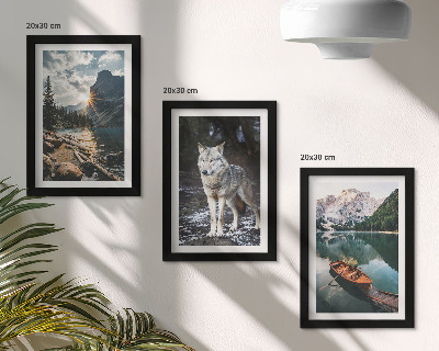 Fotowand Berge, Seen und ein Wolf in natürlicher Umgebung