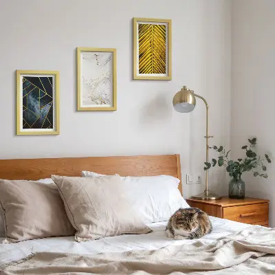 Bilderset mit Rahmen mit modernen geometrischen Mustern und natürlichen Pflanzenmotiven