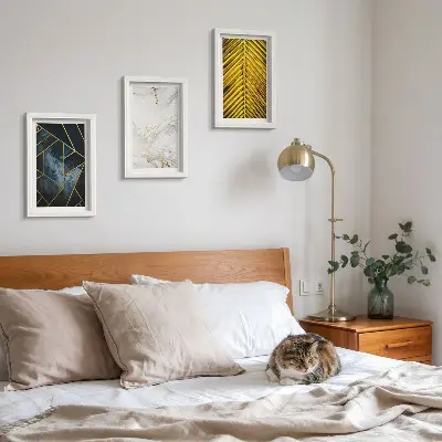 Bilderset mit Rahmen mit modernen geometrischen Mustern und natürlichen Pflanzenmotiven