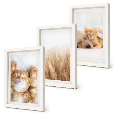 Bilderwand mit niedlichen Tieren wie Katzen und Hunden im Boho-Stil auf zartem Gras