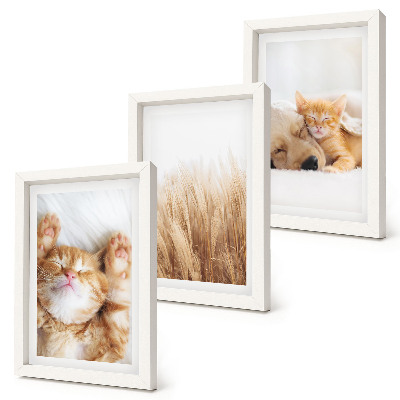 Bilderwand Niedliche Tiere, Katzen, Hunde, zartes Gras, Boho-Stil