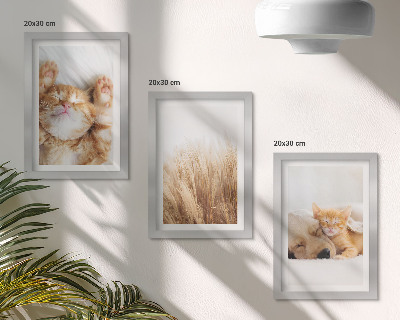 Bilderwand Niedliche Tiere, Katzen, Hunde, zartes Gras, Boho-Stil