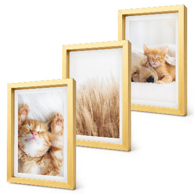 Bilderwand Niedliche Tiere, Katzen, Hunde, zartes Gras, Boho-Stil