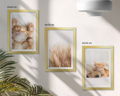 Bilderwand Niedliche Tiere, Katzen, Hunde, zartes Gras, Boho-Stil