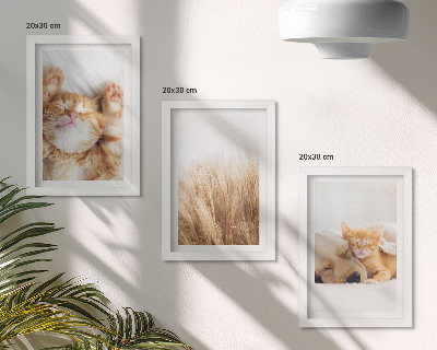 Bilderwand Niedliche Tiere, Katzen, Hunde, zartes Gras, Boho-Stil