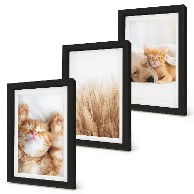 Bilderwand Niedliche Tiere, Katzen, Hunde, zartes Gras, Boho-Stil