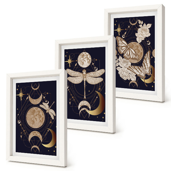 Bilderset mit rahmen Naturmotive mit Mond, Weltraum und Blumen