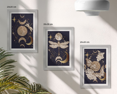 Bilderset mit rahmen Naturmotive mit Mond, Weltraum und Blumen