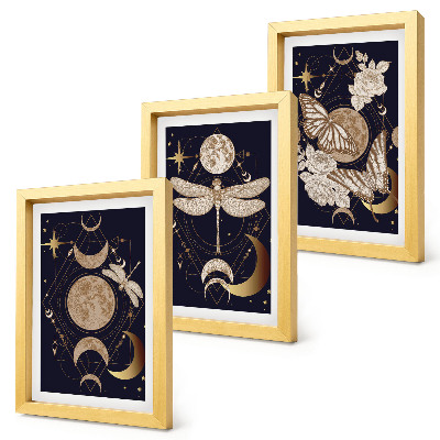 Bilderset mit rahmen Naturmotive mit Mond, Weltraum und Blumen
