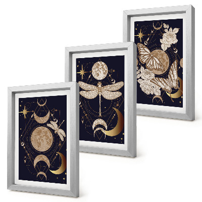 Bilderset mit rahmen Naturmotive mit Mond, Weltraum und Blumen