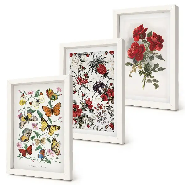 Fotowand mit Schmetterlingen, Blumen und roten Rosen im klassischen Stil