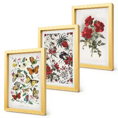 Fotowand mit Schmetterlingen, Blumen und roten Rosen im klassischen Stil