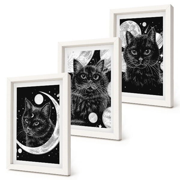 Bilderset mit rahmen Schwarze Katzen vor dem Hintergrund von Mond und Planeten im Weltraum