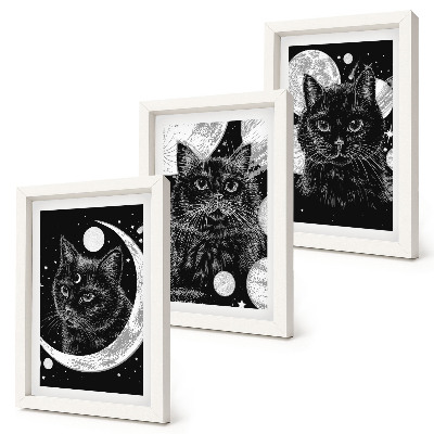 Bilderset mit rahmen Schwarze Katzen vor dem Hintergrund von Mond und Planeten im Weltraum