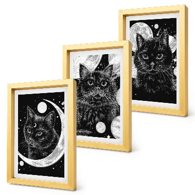 Bilderset mit rahmen Schwarze Katzen vor dem Hintergrund von Mond und Planeten im Weltraum