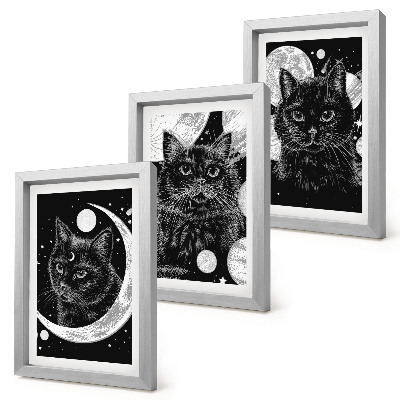 Bilderset mit rahmen Schwarze Katzen vor dem Hintergrund von Mond und Planeten im Weltraum