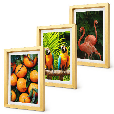 Bilderwand Fruchtige Akzente mit Papageien und Flamingos in den Tropen