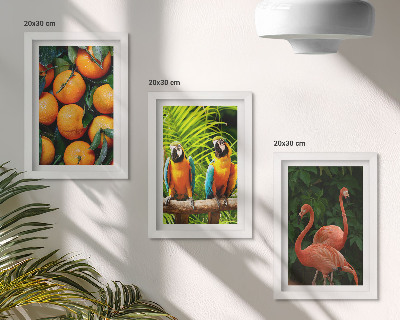 Bilderwand Fruchtige Akzente mit Papageien und Flamingos in den Tropen